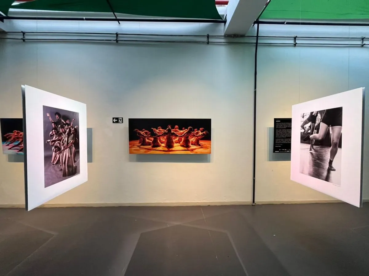 Serviço de Projetos Culturais - Install Produtora de Arte
